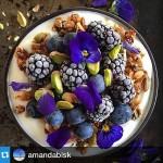 We loved this post from amandabisk because our goodness guruhellip
