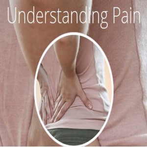 Understanding Pain (Course 2) @ The Yoga Space | West Perth | Western Australia | Australia