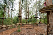 Sydney’s Top 10 Healthy Things To Do With The Kids
