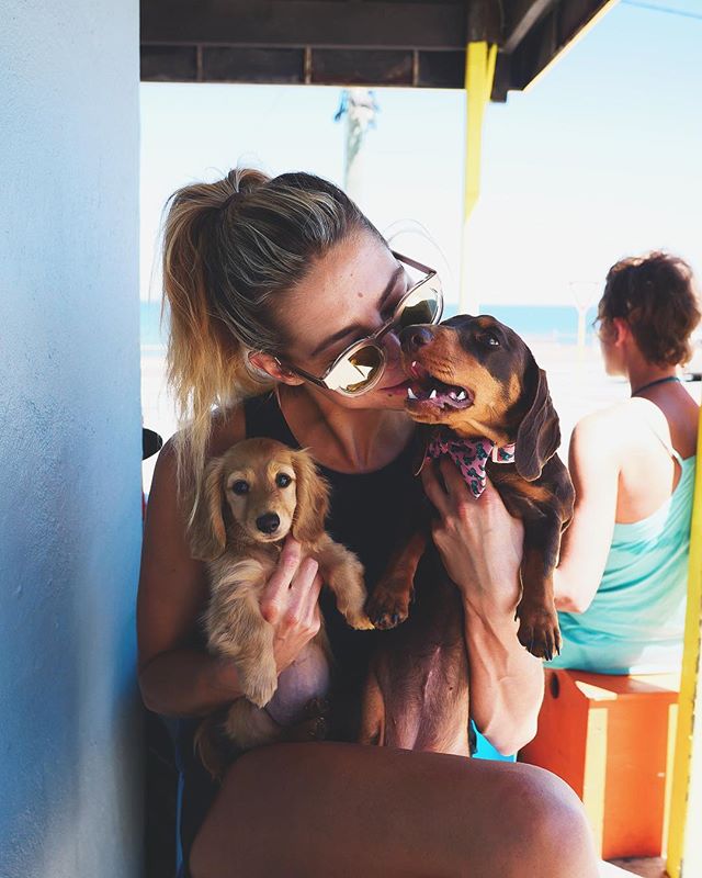 Perth’s Best Dog-Friendly Beaches and Nearby Healthy Cafes