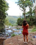 Brisbane’s Best Walking Trails and Hikes
