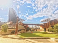 Staying Healthy in the New Yagan Square